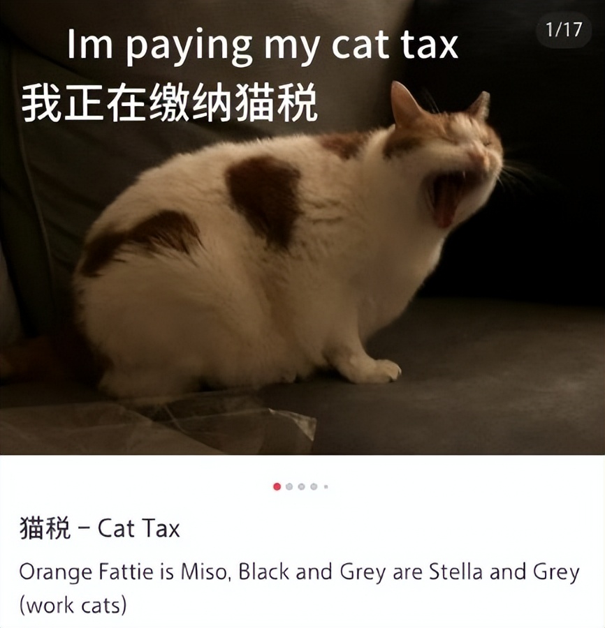小红书快要被“洋抖难民”们给挤爆了