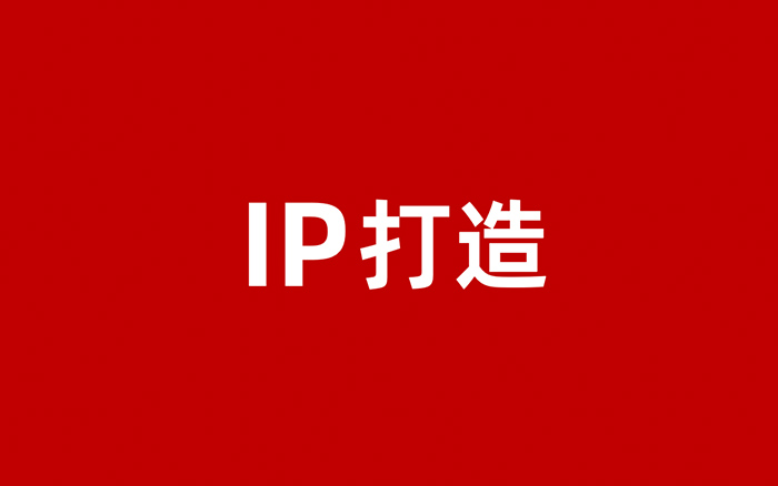 几步复制“雷军式”个人IP经验！小红书品牌主理人都求疯了！