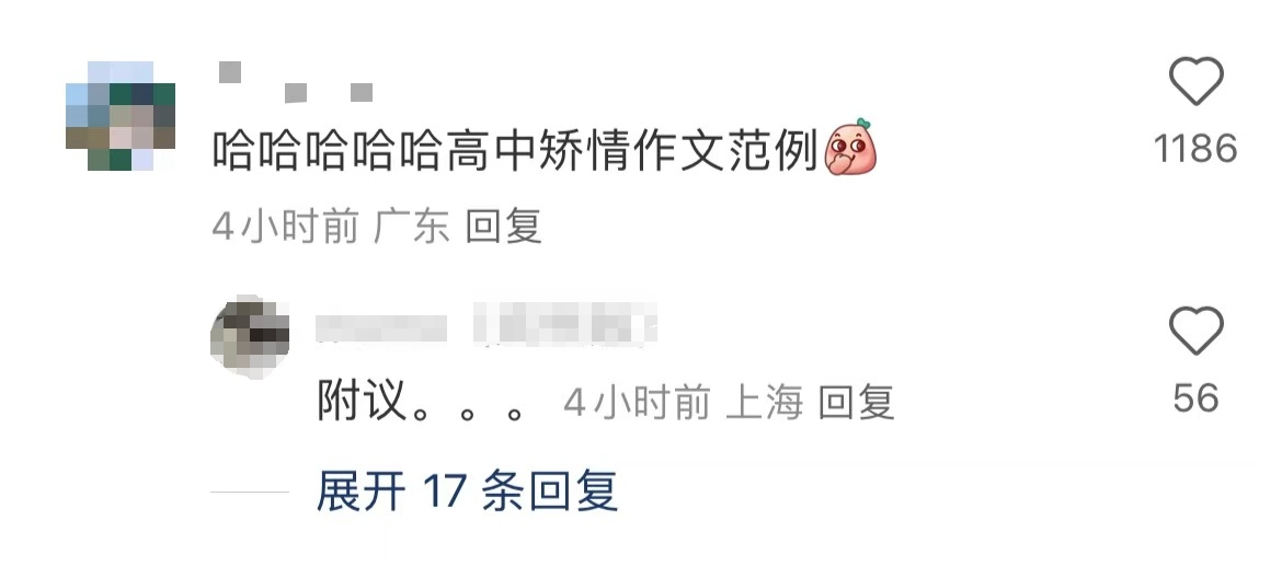房琪写的浪姐6文案，评价冰火两重天