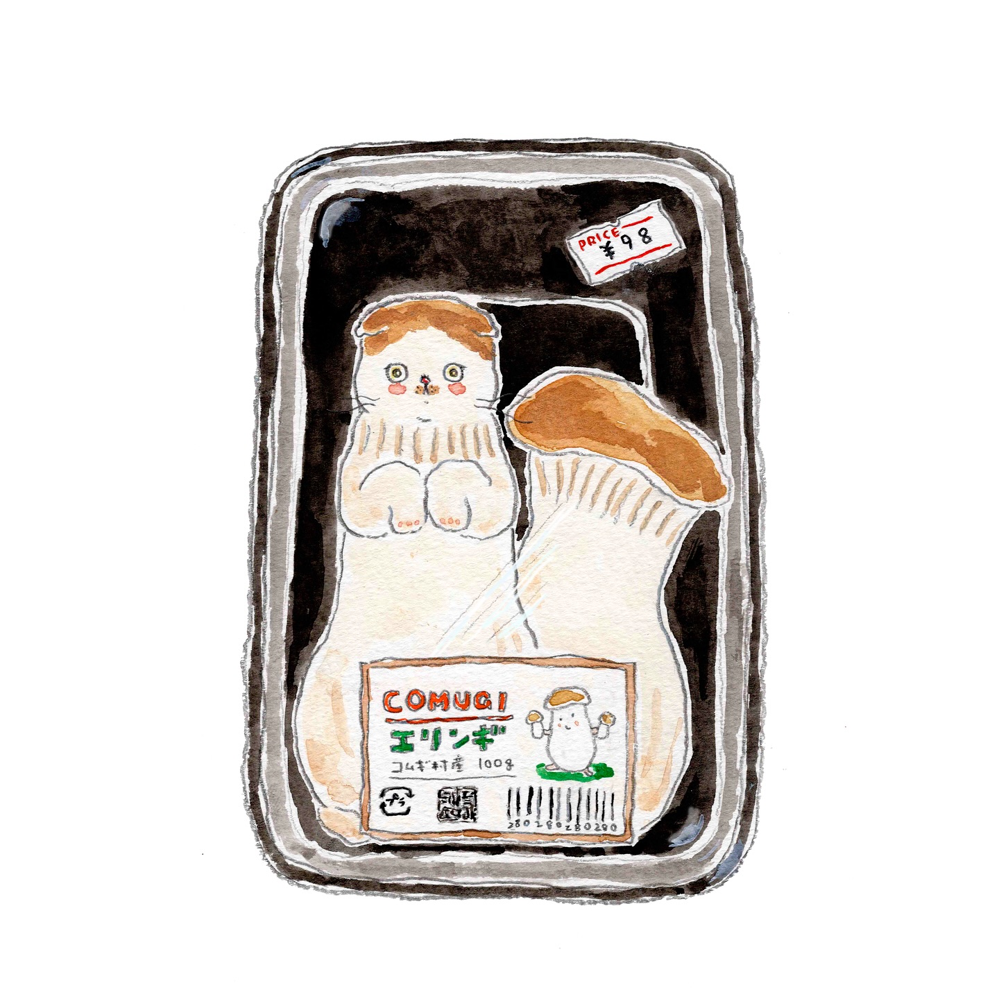 猫，插画，创意
