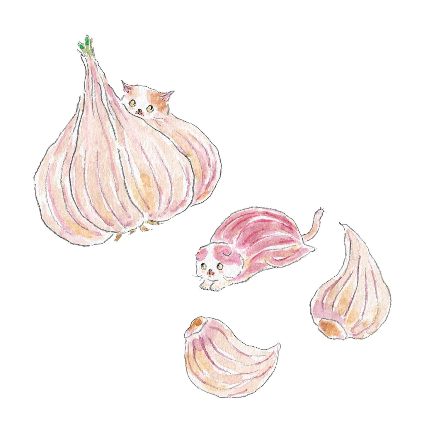 猫，插画，创意