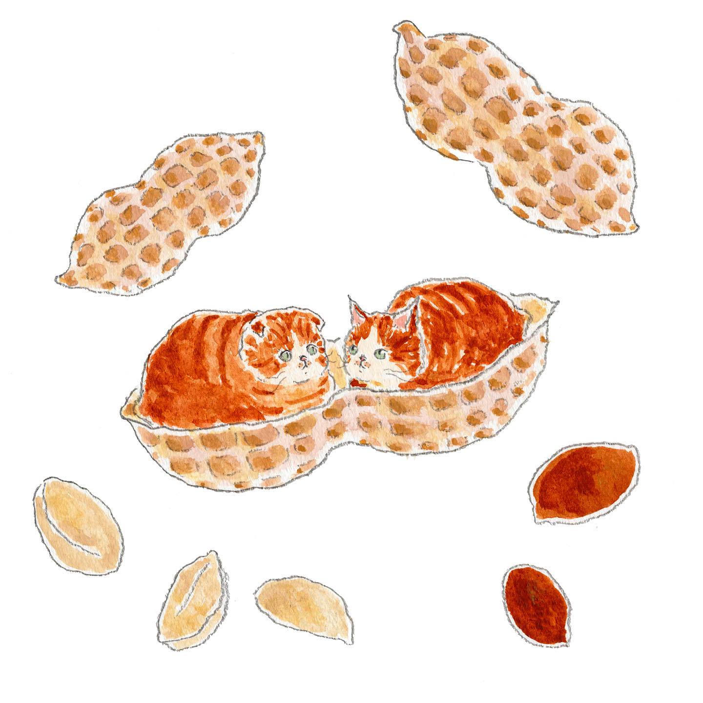 猫，插画，创意