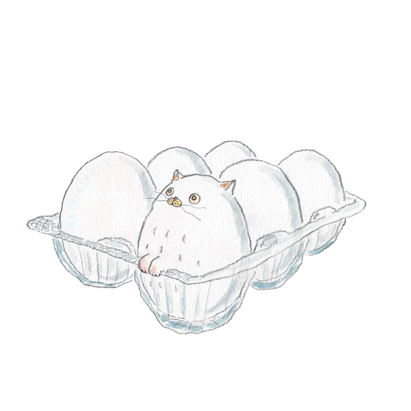 猫，插画，创意
