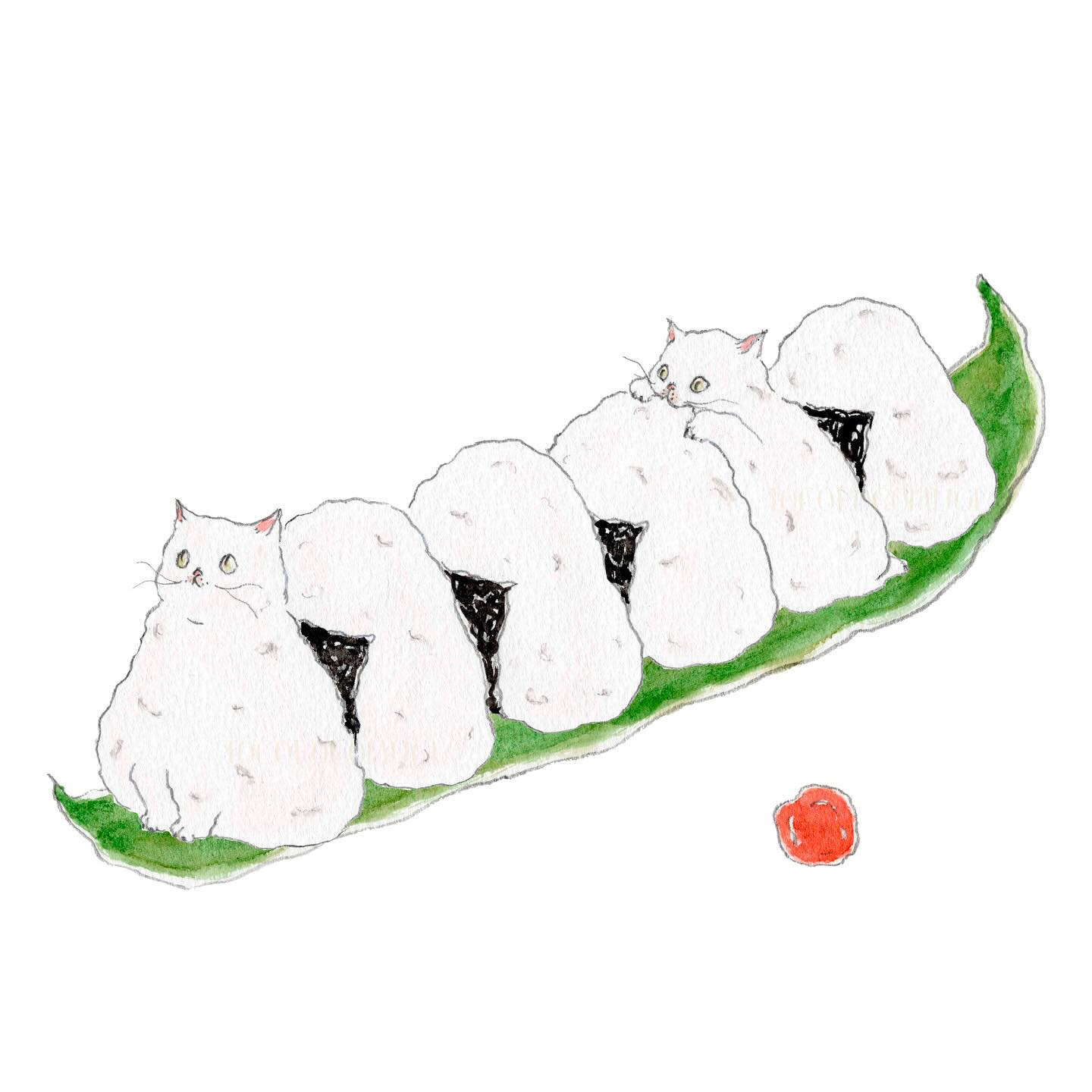 猫，插画，创意