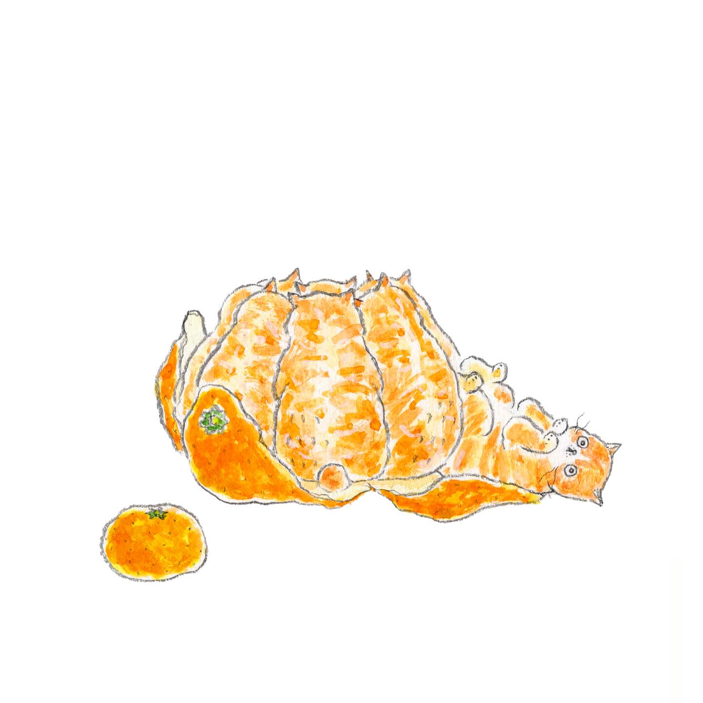 猫，插画，创意