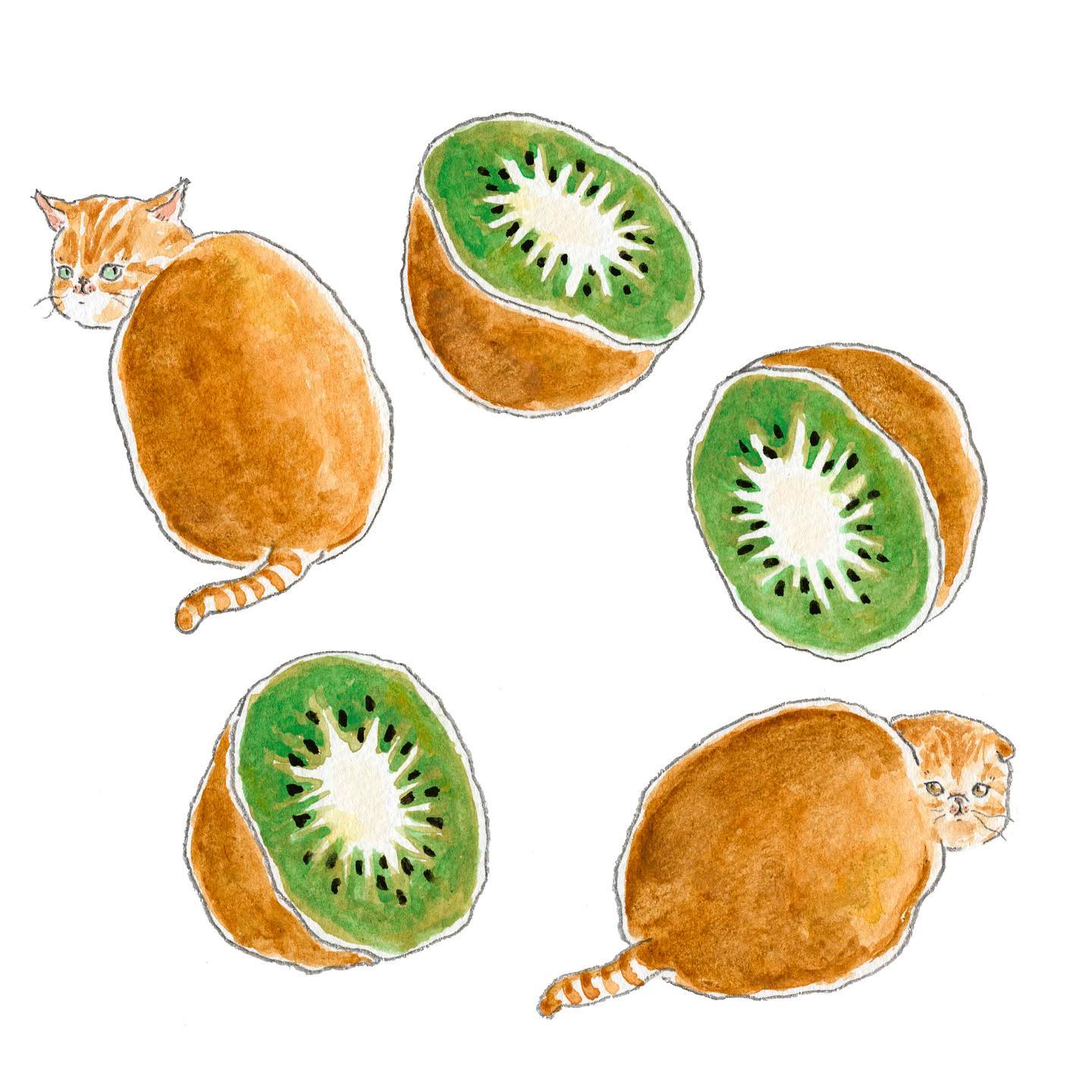 猫，插画，创意