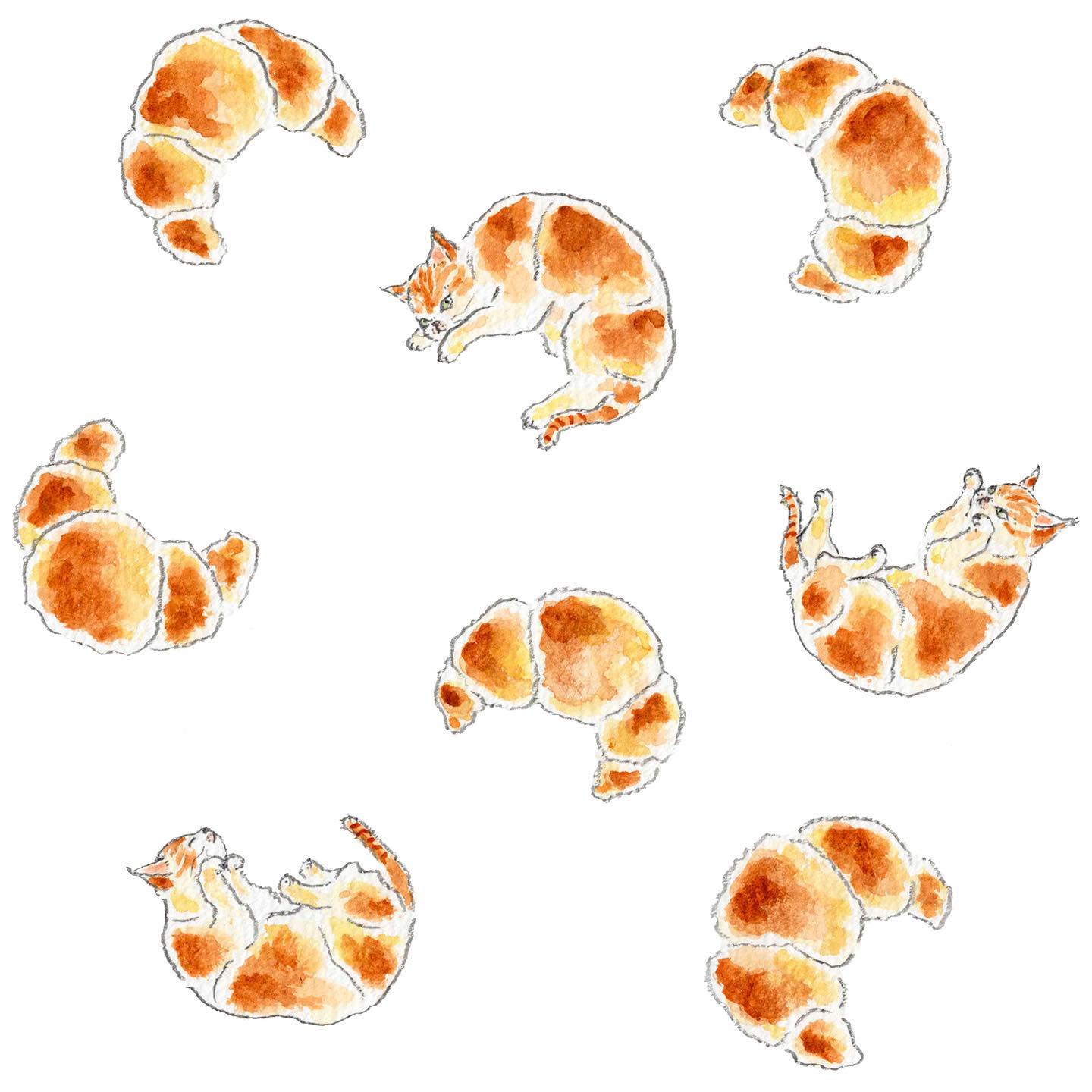 猫，插画，创意