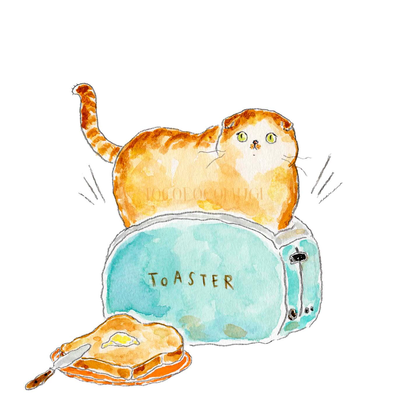 猫，插画，创意