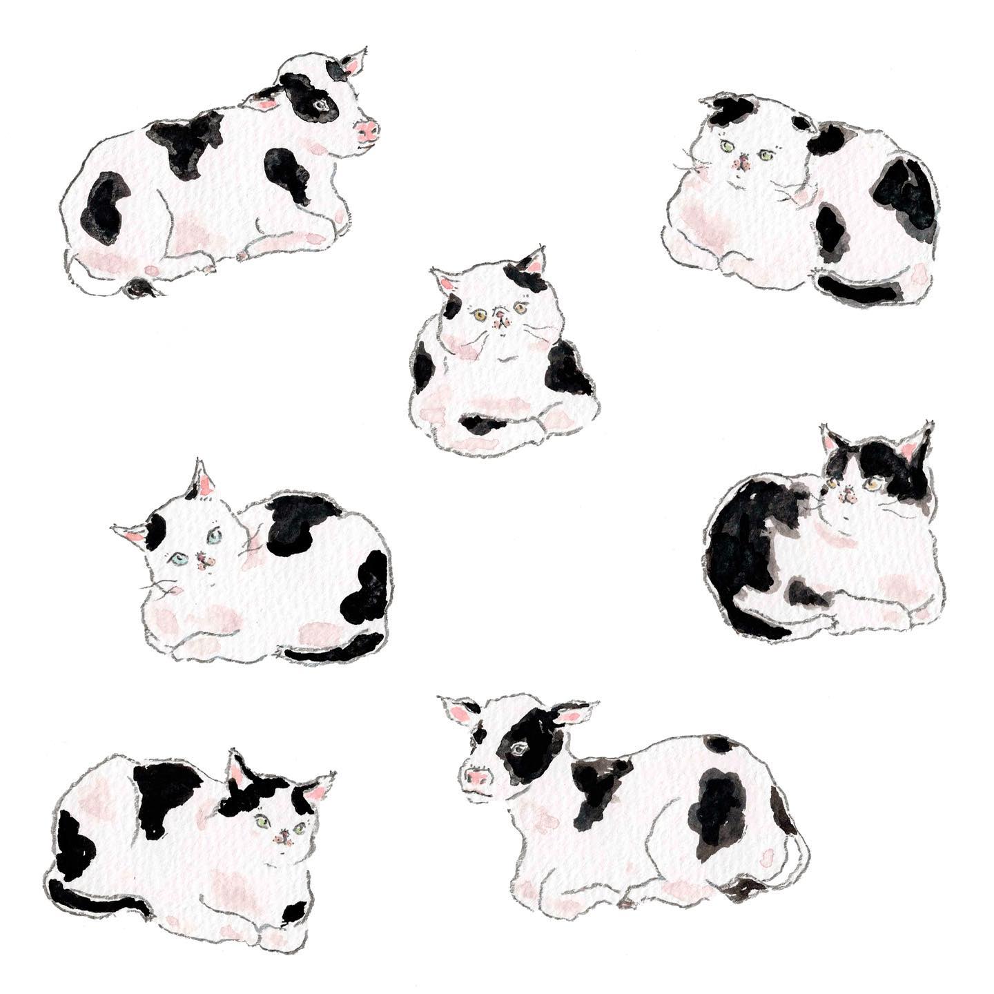 猫，插画，创意