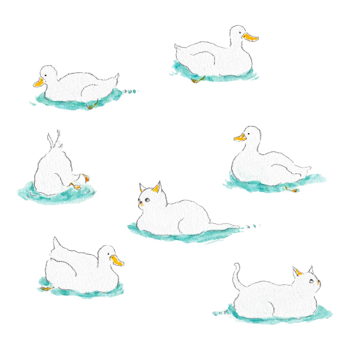 猫，插画，创意