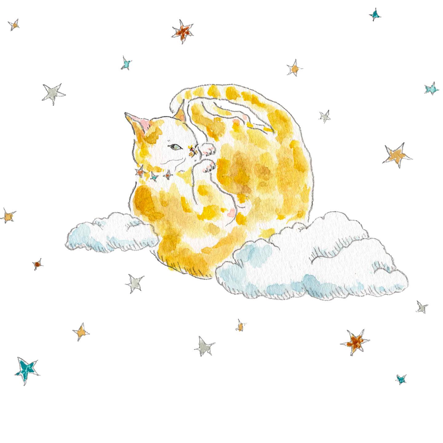 猫，插画，创意
