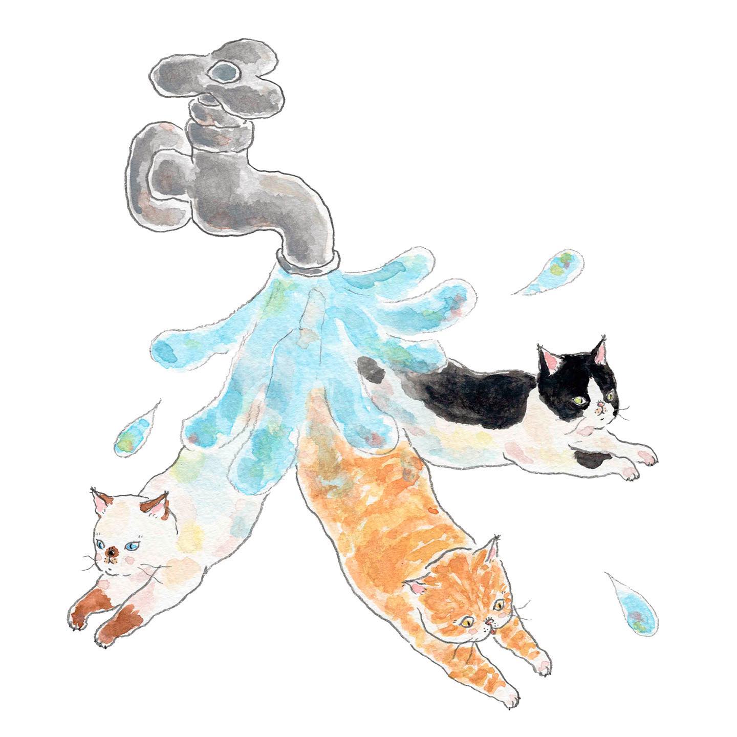 猫，插画，创意