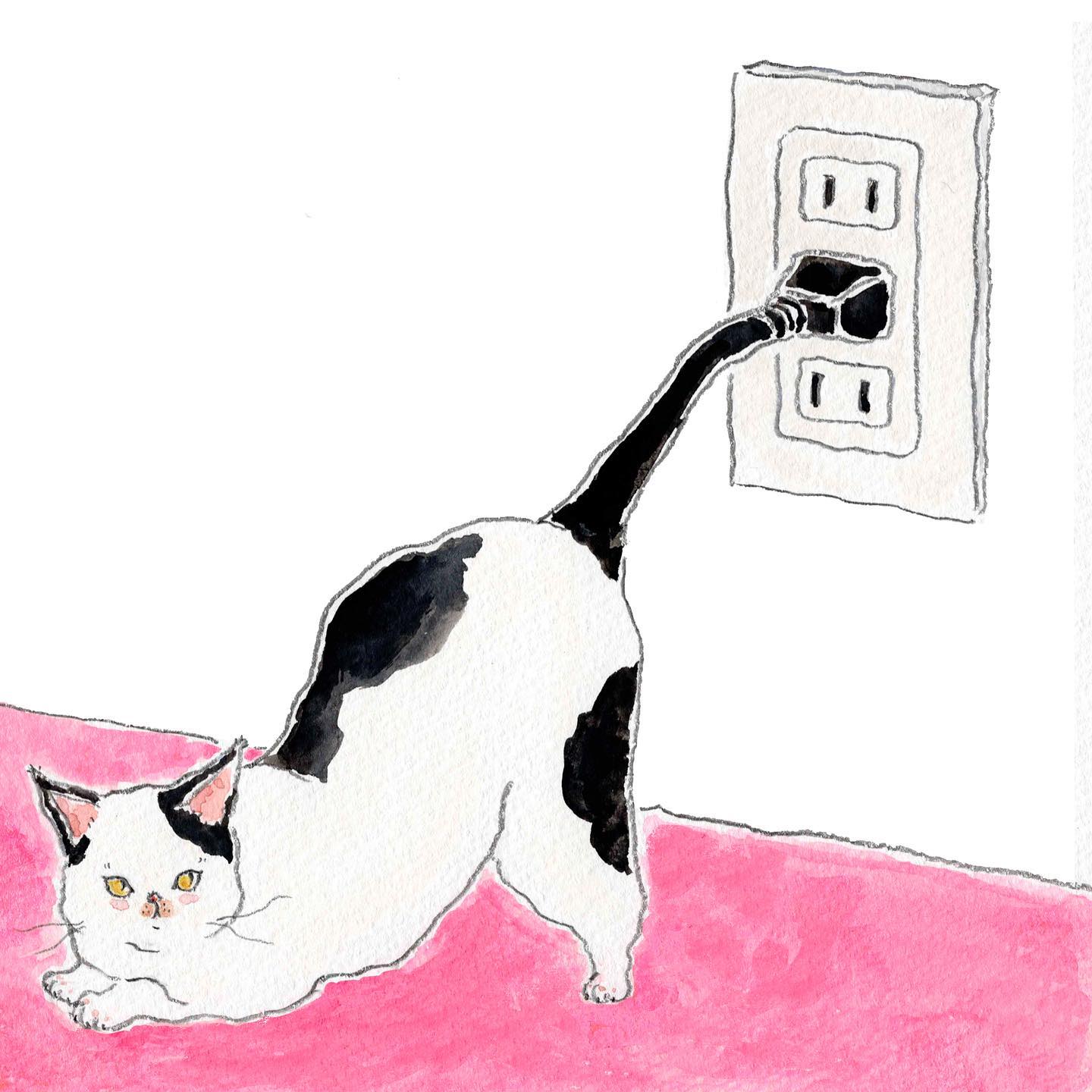 猫，插画，创意