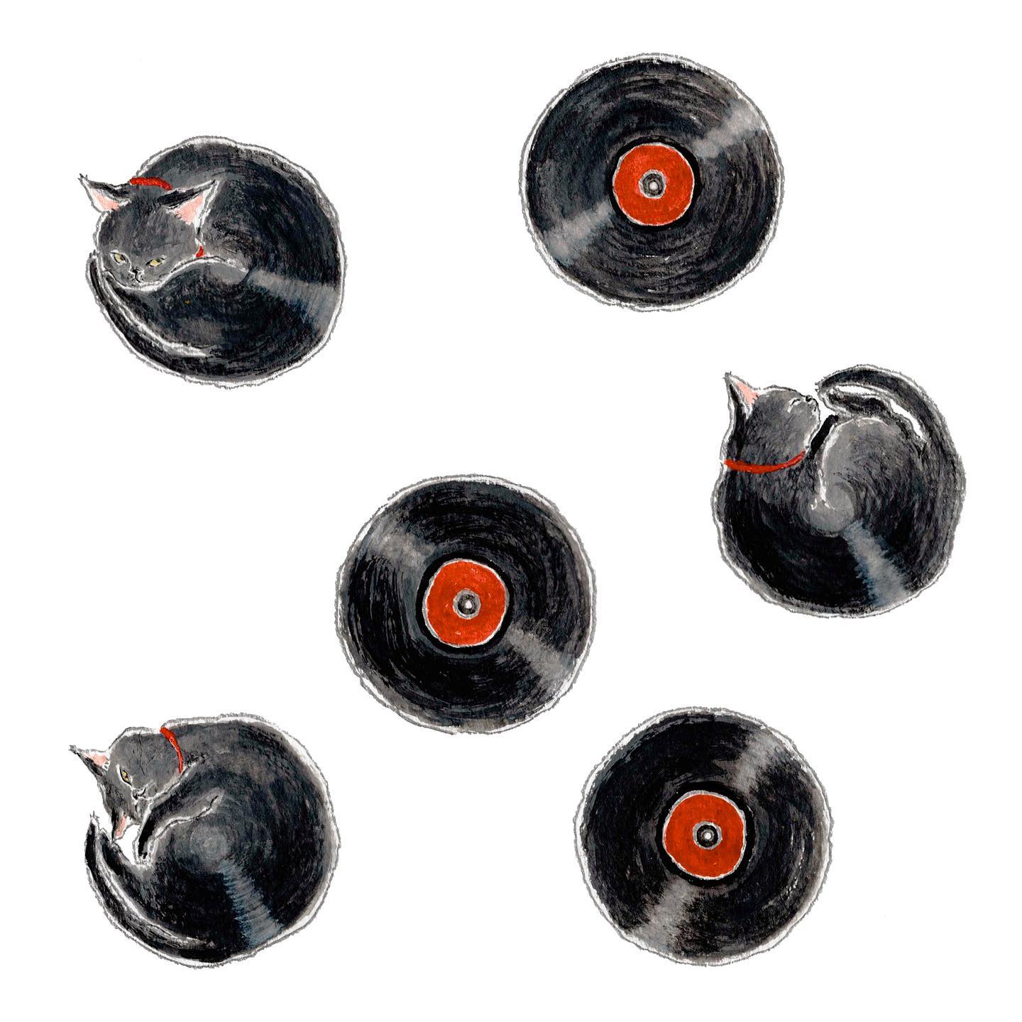 猫，插画，创意