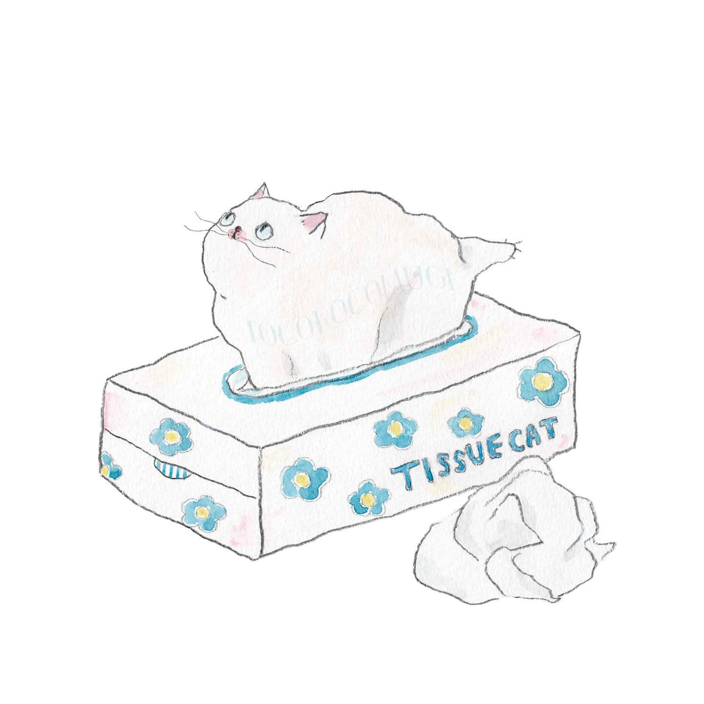 猫，插画，创意