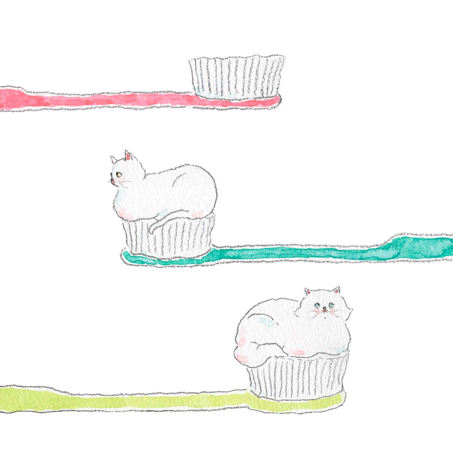 猫，插画，创意