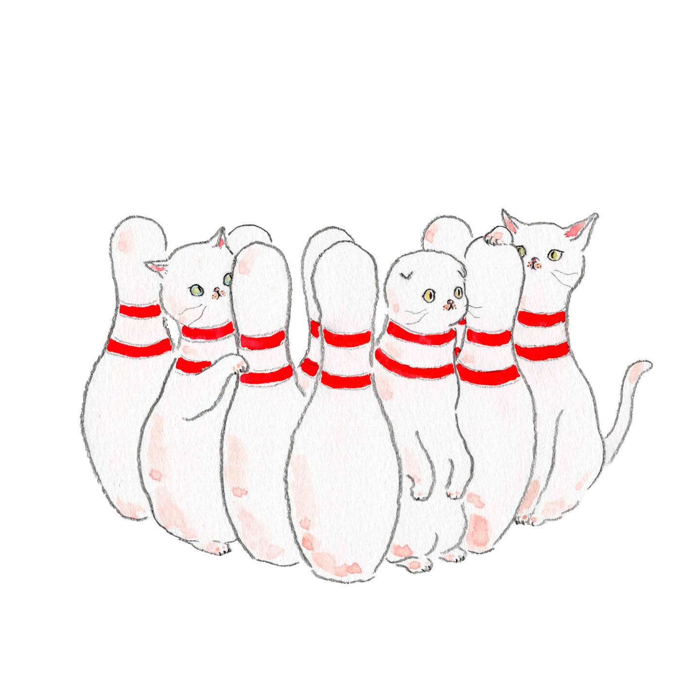 猫，插画，创意