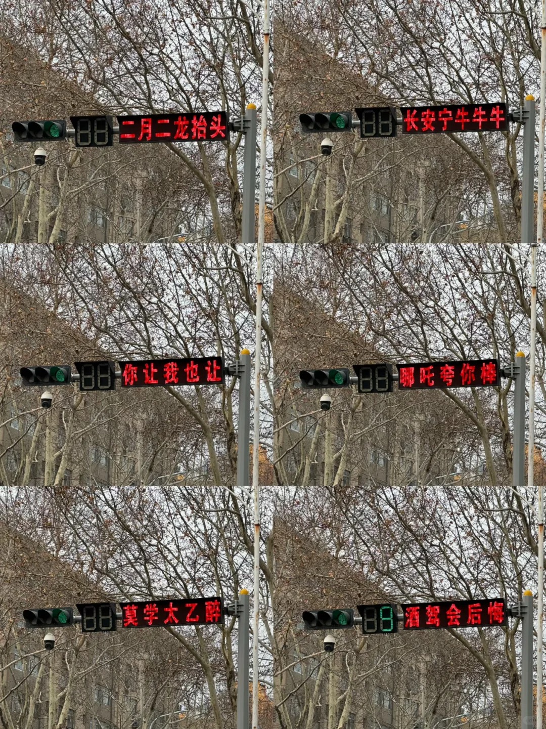 20句交通安全标语，句句炸裂！