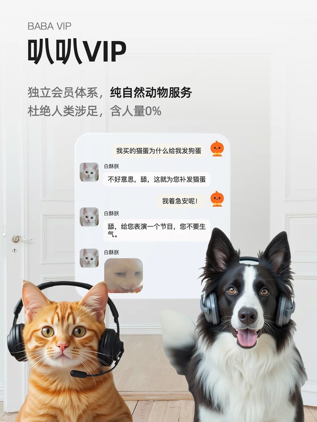 愚人节最好笑的整活，来自各蓝V限时改名