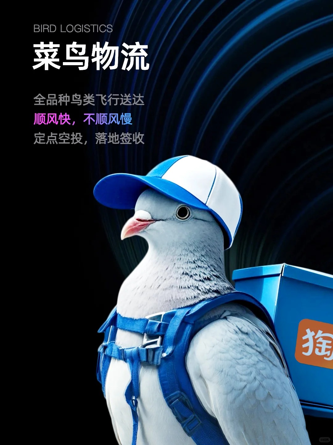 愚人节最好笑的整活，来自各蓝V限时改名