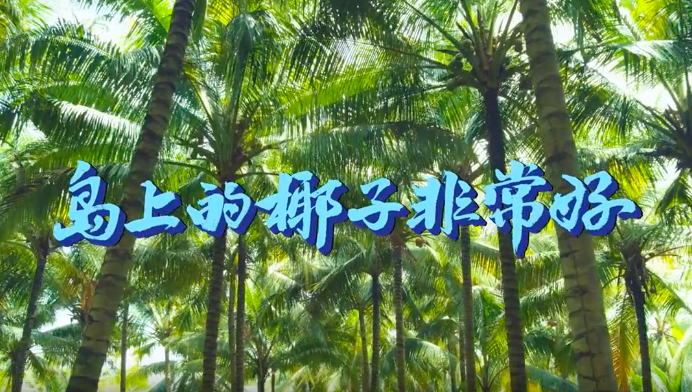 瑞幸、付航