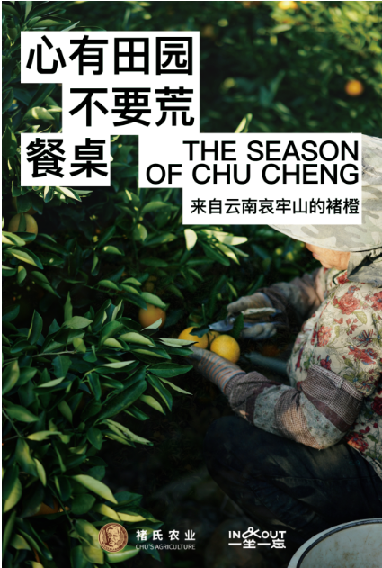 褚橙，一坐一忘.jpg