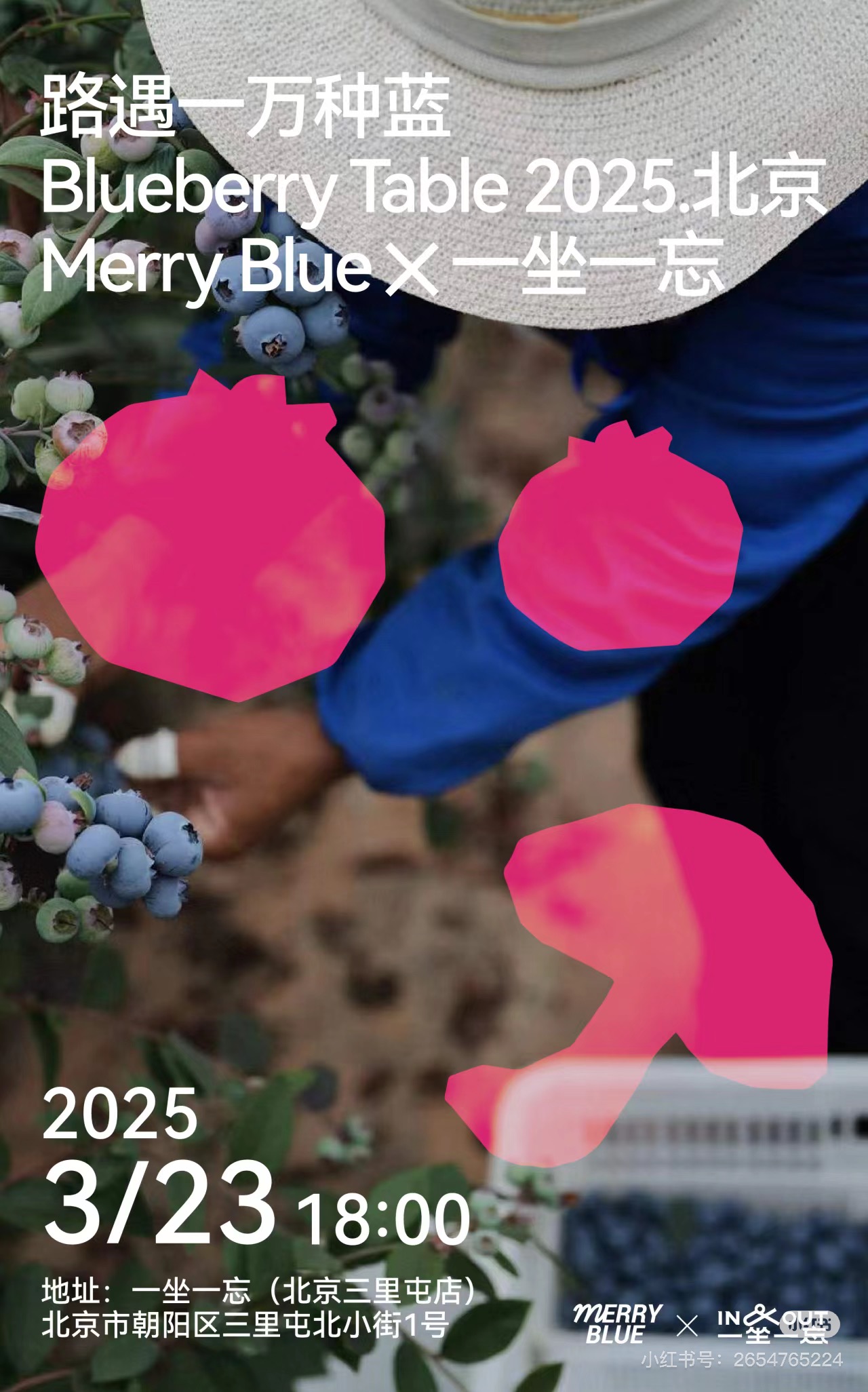1743583329860896.jpg