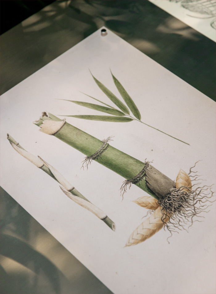 古驰手袋展