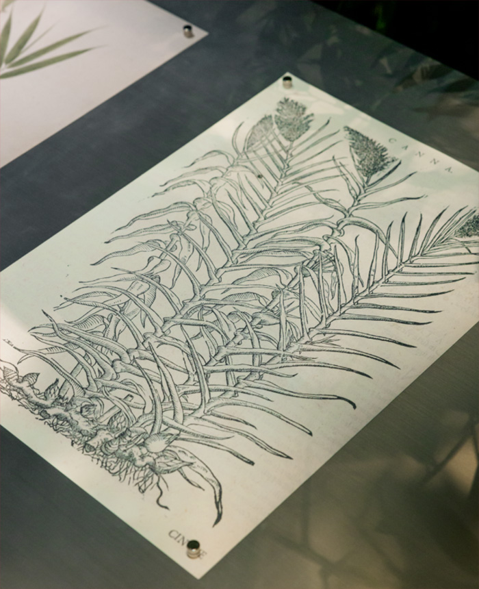 古驰手袋展