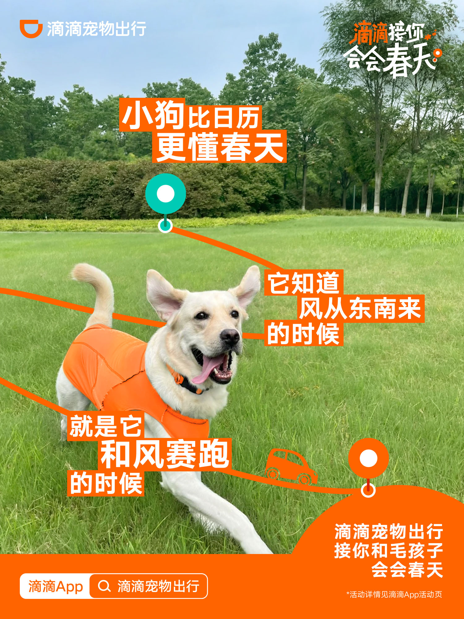 滴滴.jpg