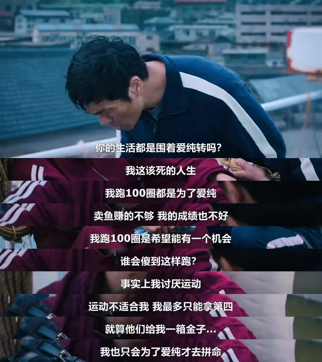 苦尽柑来遇见你，台词