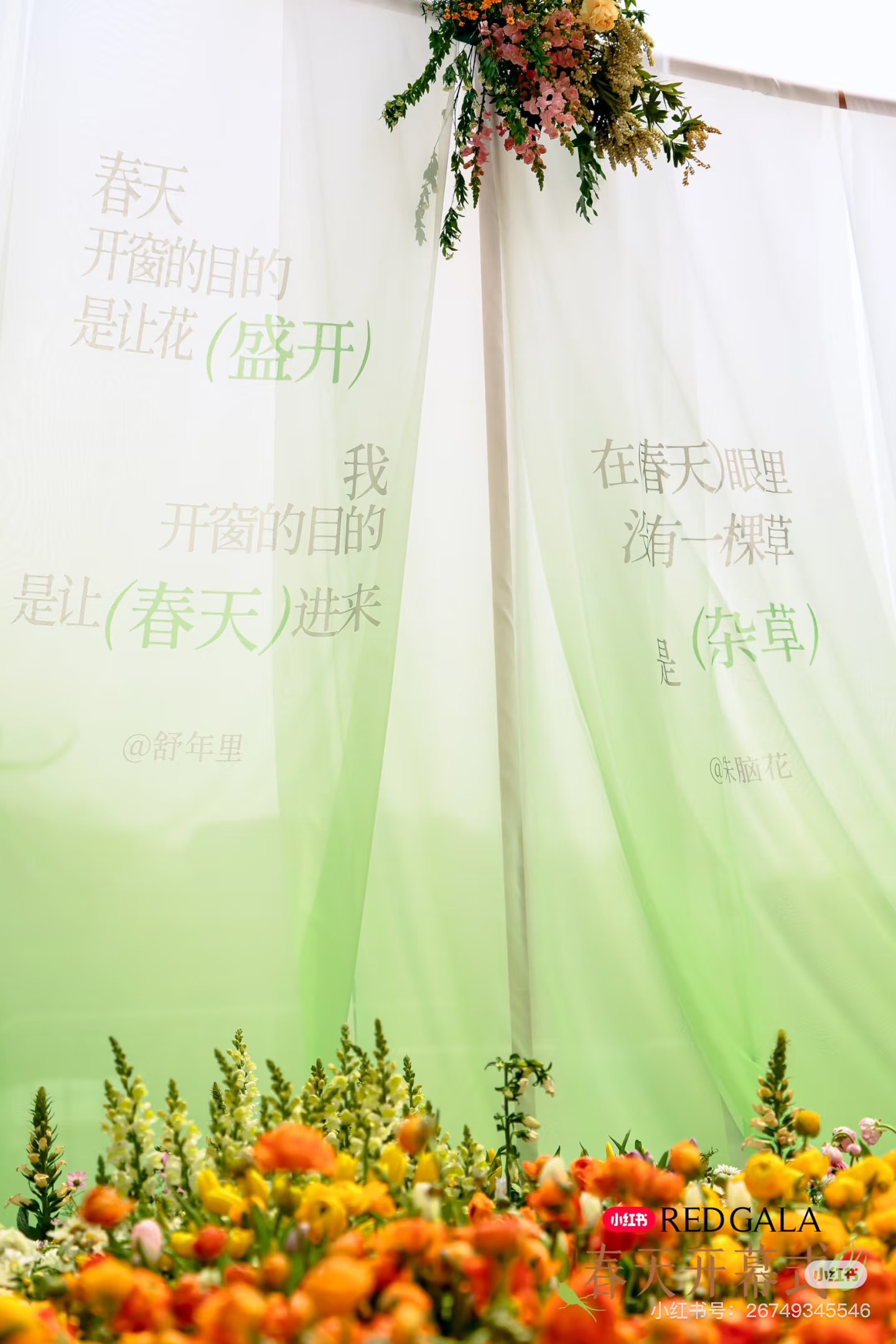 小红书 春天.jpg