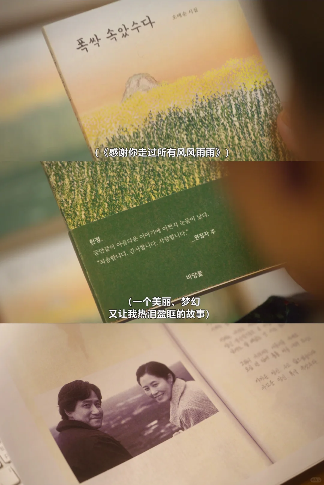 苦尽柑来遇见你，台词
