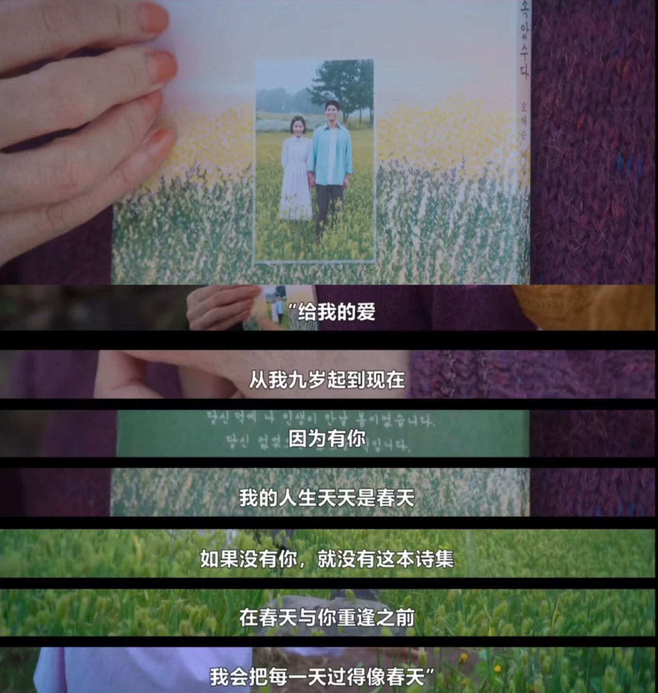 苦尽柑来遇见你，台词