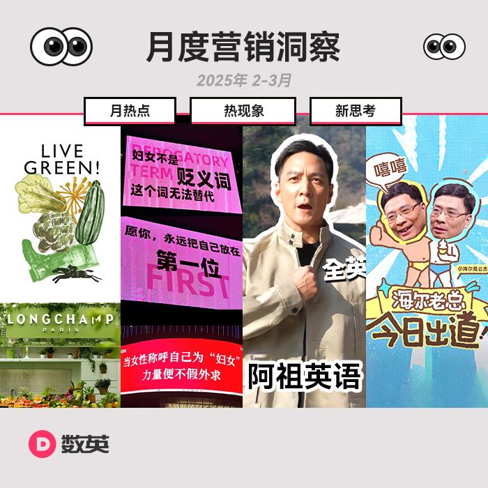 月度营销洞察