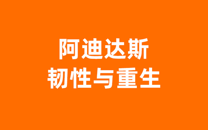 阿迪达斯，营销方法