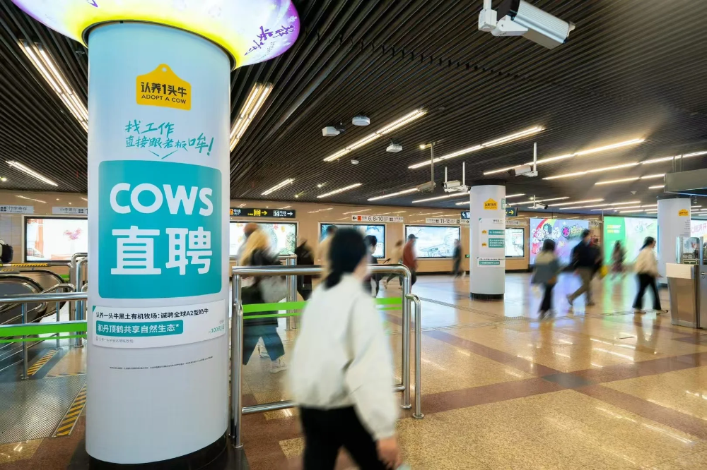 认养一头牛 COWS直聘 打工人广告