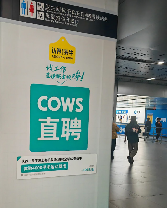 认养一头牛和BOSS直聘，居然有这么邪门的CP！