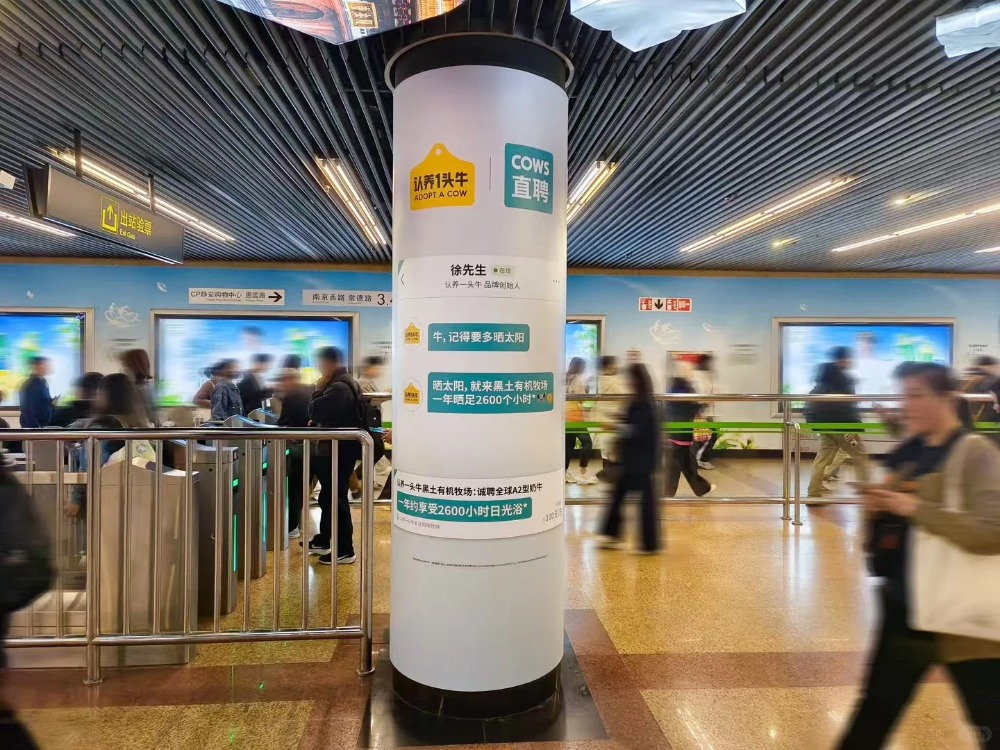 认养一头牛