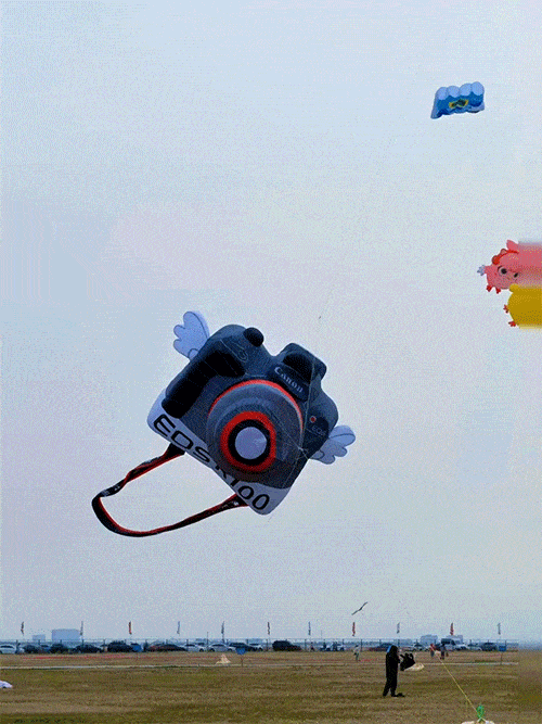 没个理想了????_8_林一鸭_来自小红书网页版.gif