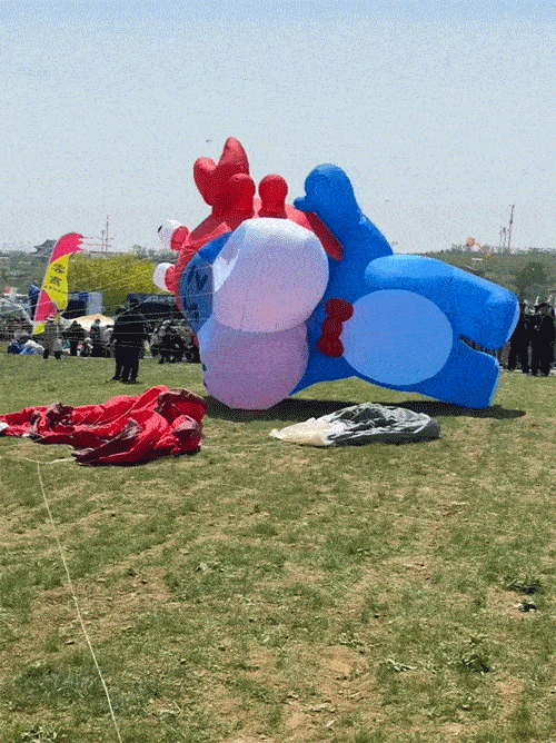 飞不起来怎么办啊啊啊！！！_1_盒马_来自小红书网页版_compressed.gif