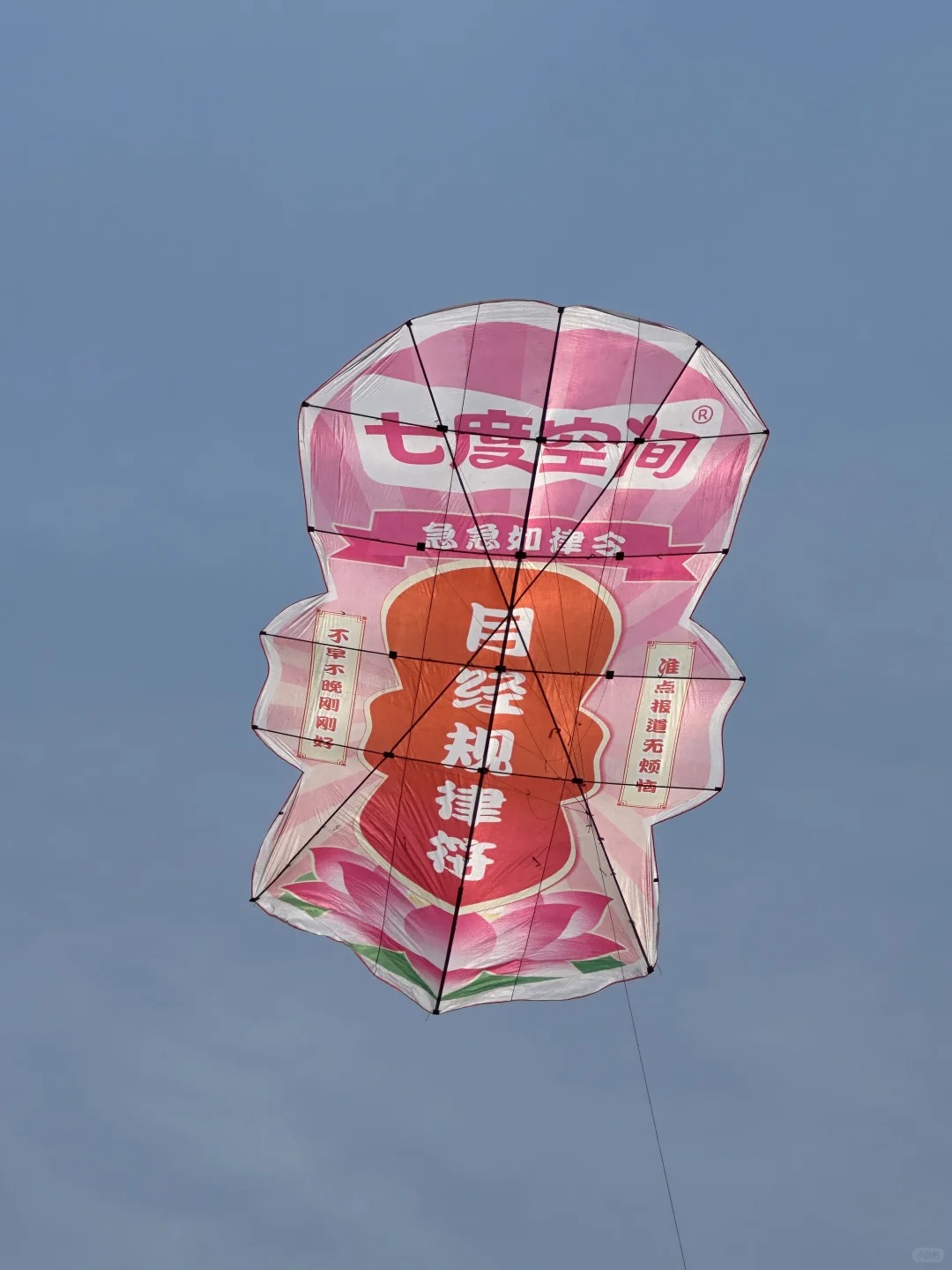 1745165882453021.jpg
