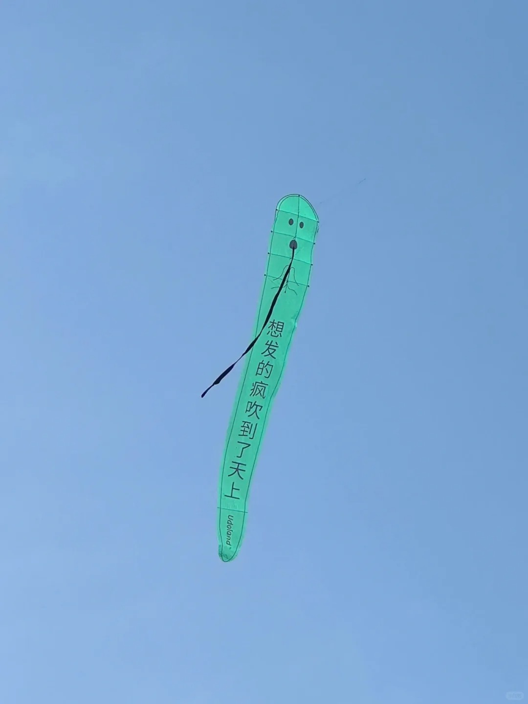 1745208100693411.jpg