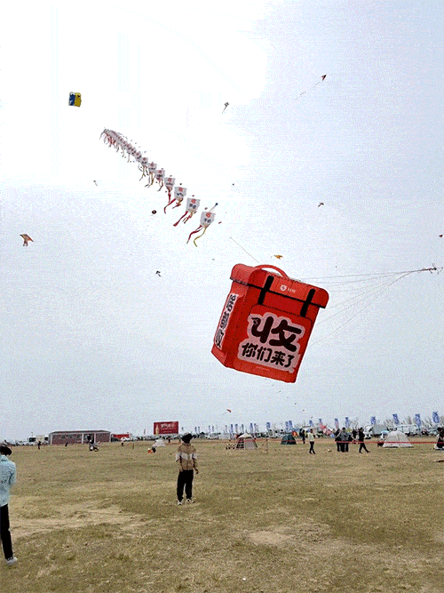我在潍坊筝的“风”了????_2_杨木禾_来自小红书网页版_compressed.gif