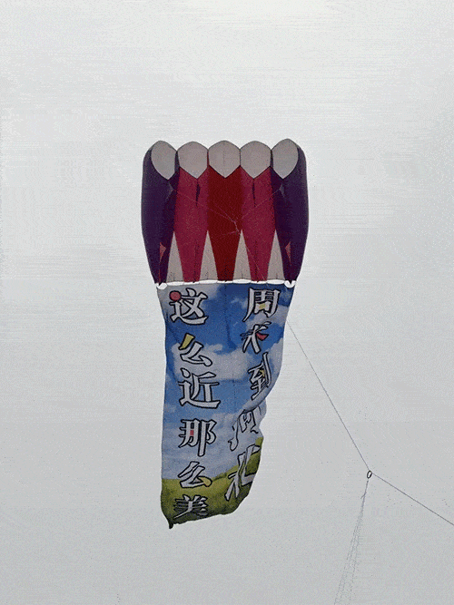 抱歉河北，这周末到潍坊了_1_Ruby_来自小红书网页版_compressed.gif