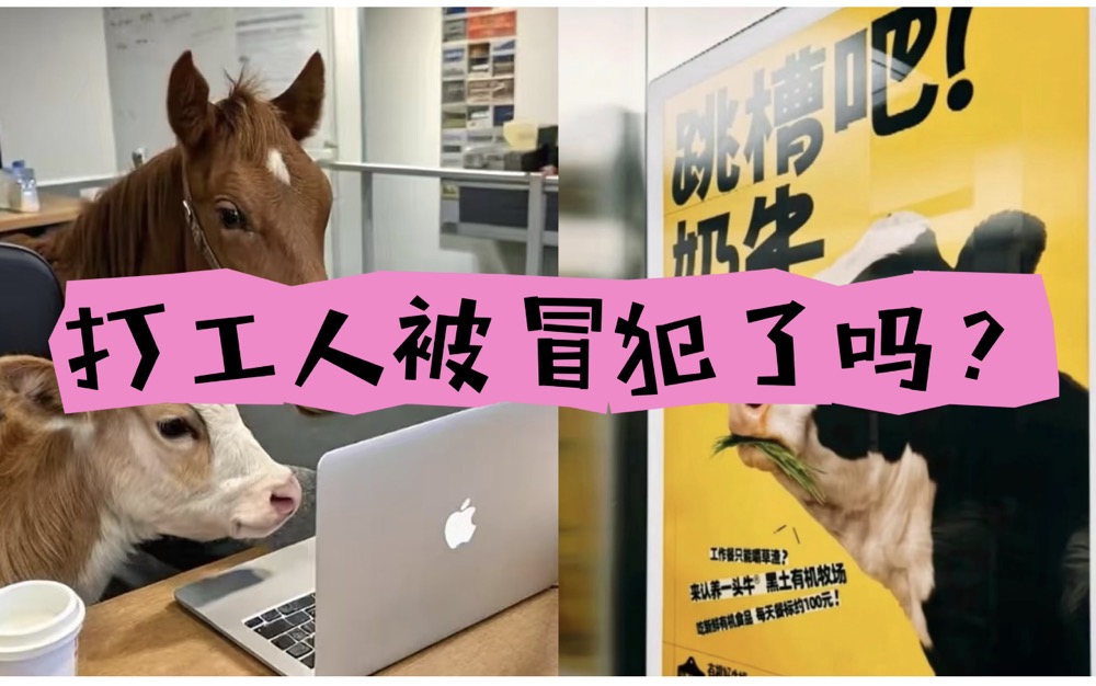 认养一头牛，公关，舆论，观点洞察