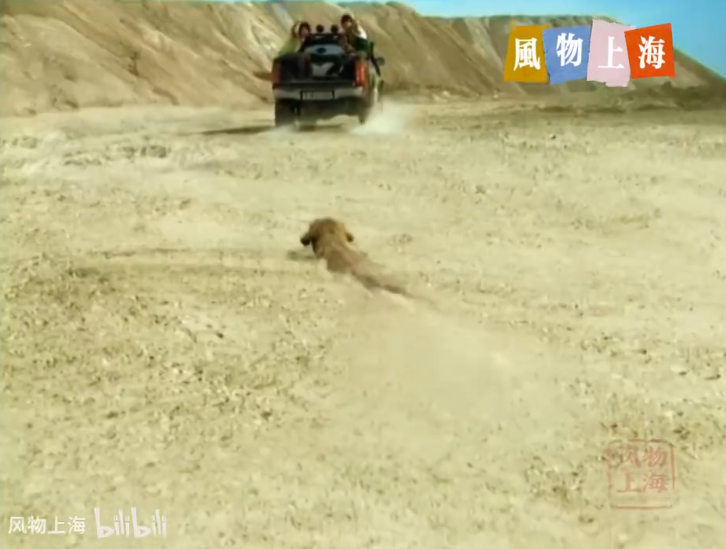 经济上行是什么意思 广告中的经济上行现象解析