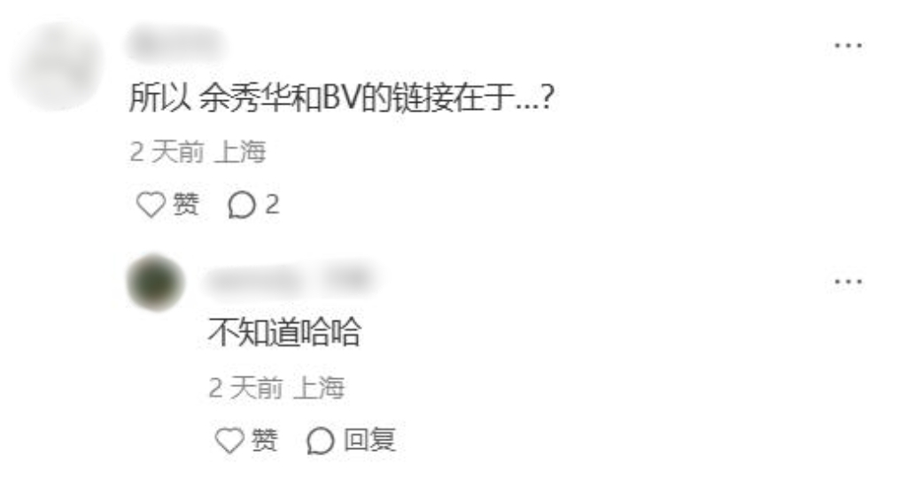 BV余秀华诗集装置，大费周章又稍显潦草