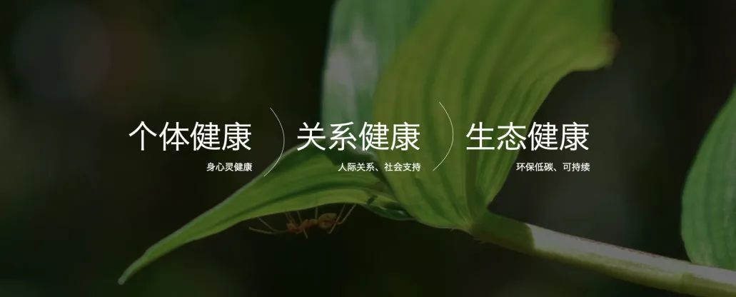 身心健康，营销趋势