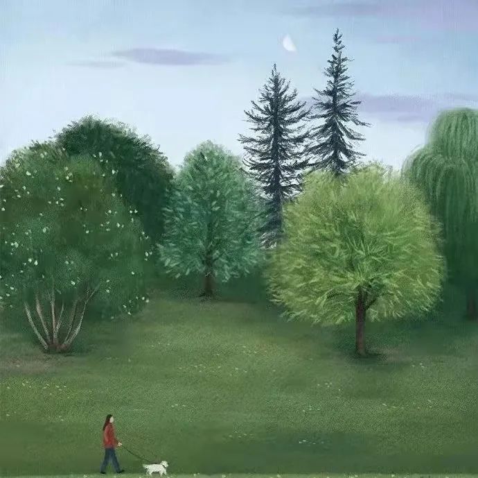 收集120张高级插画，春天换新头像！